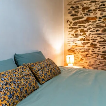 Coeur Saint-laud - Historic Center 4-6 Guests Apartment Angers